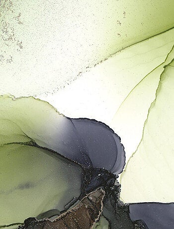 Papier peint intissé auto-adhésif rond thème plantes, feuilles d'arbre - 70 x 70 cm