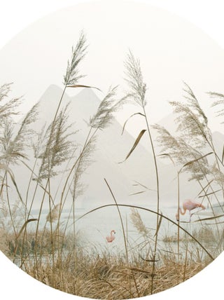 Papier peint intissé auto-adhésif rond  Thème Roseaux - 70 x 70 cm