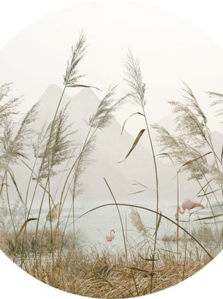 Papier peint intissé auto-adhésif rond  Thème Roseaux- 140 x 140 cm