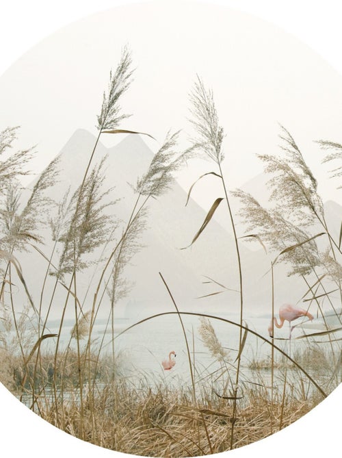 Papier peint intissé auto-adhésif rond  Thème Roseaux- 140 x 140 cm - Kiabi