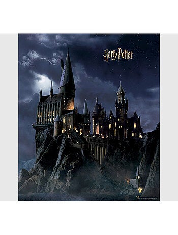 Papier peint intissé Château de Poudlard -dans la nuit Harry Potter - 300 x 270 cm 4 lés