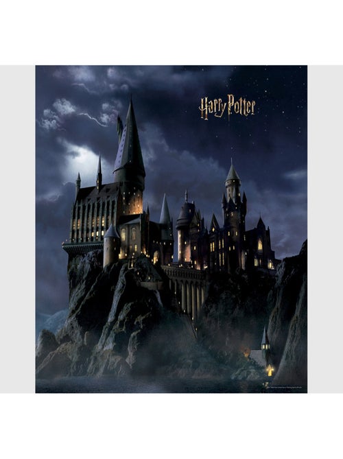 Papier peint intissé Château de Poudlard -dans la nuit  Harry Potter - 300 x 270 cm 4 lés - Kiabi