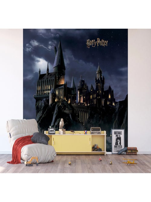 Papier peint intissé Château de Poudlard -dans la nuit  Harry Potter - 300 x 270 cm 4 lés - Kiabi