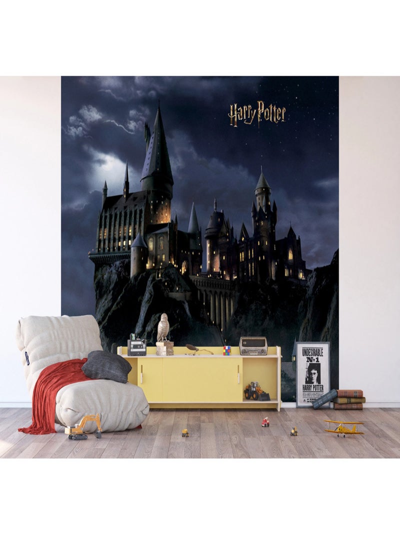 Papier peint intissé Château de Poudlard -dans la nuit  Harry Potter - 300 x 270 cm 4 lés Multicolore - Kiabi