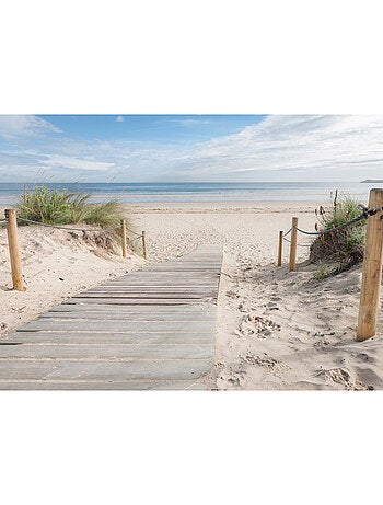 Papier peint intissé chemin de plage ensoleillée 375 x 270 cm