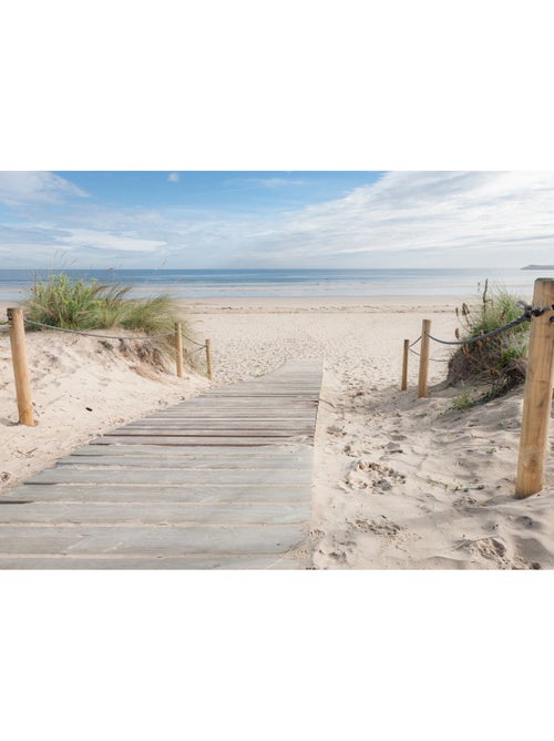 Papier peint intissé chemin de plage ensoleillée 375 x 270 cm - Kiabi