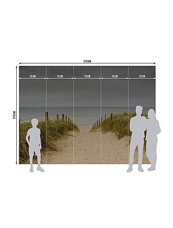 Papier peint intissé chemin vers la plage ciel gris 375 x 270 cm