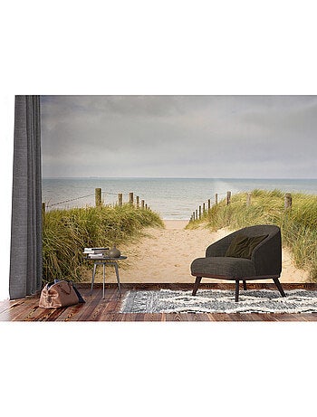 Papier peint intissé chemin vers la plage ciel gris 375 x 270 cm