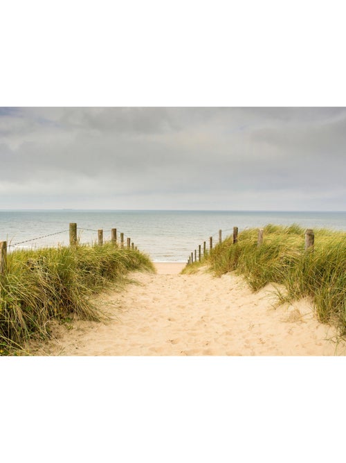 Papier peint intissé chemin vers la plage ciel gris 375 x 270 cm - Kiabi