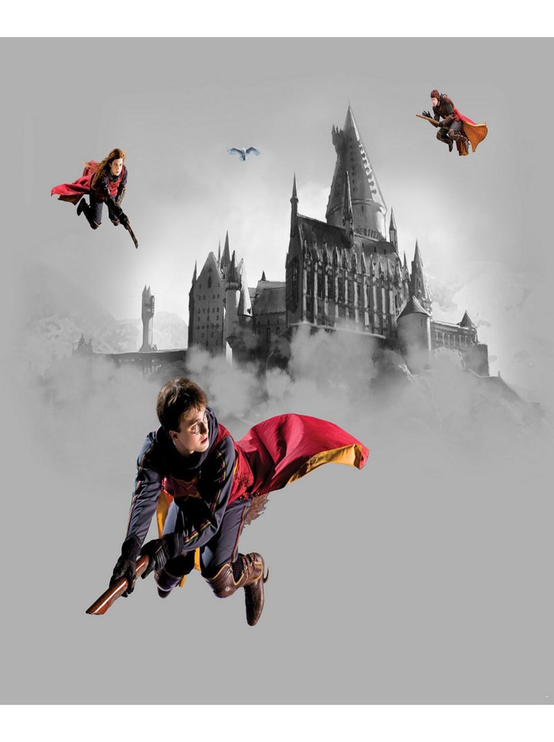 Papier peint intissé Harry Potter Quidditch 3 personnages  - 300 x 270 cm - 4 lés Multicolore - Kiabi