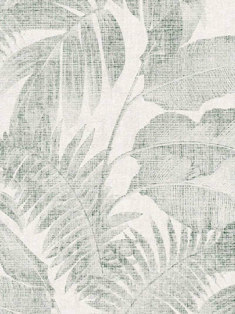 Papier peint jungle tropicale Vert - Kiabi