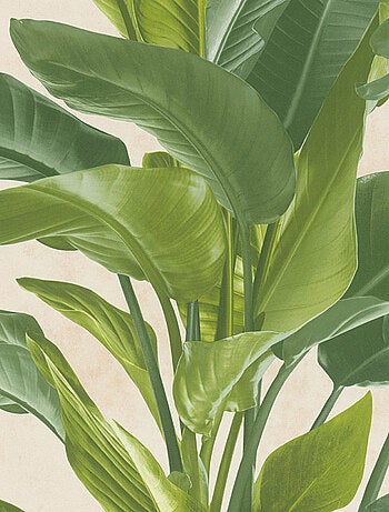 Papier peint motifs feuillages