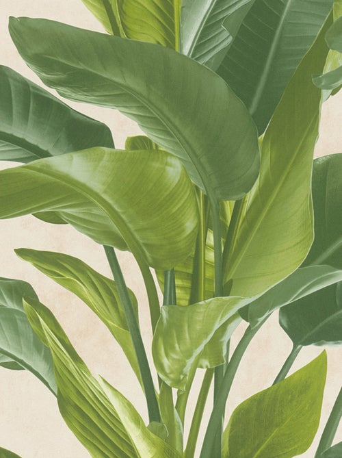 Papier peint motifs feuillages - Kiabi