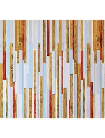 Papier peint mural initissé XXL planches colorées 360x270 cm