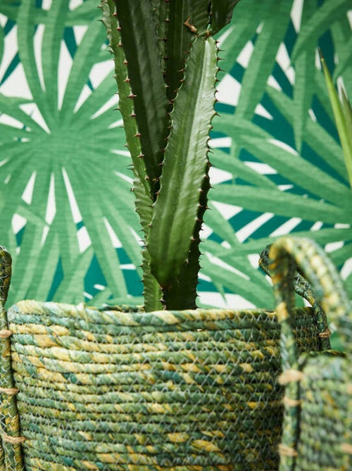 Papier peint palmeraie - Kiabi