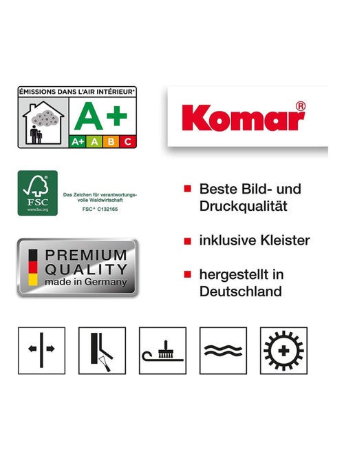 Papier Peint panorama La Reine des Neiges 2 Disney Anna et Elsa style aquarelle368cm x 127cm - Kiabi