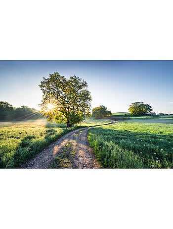 Papier peint panoramique - a new day in paradise - taille: 400 x 250 cm