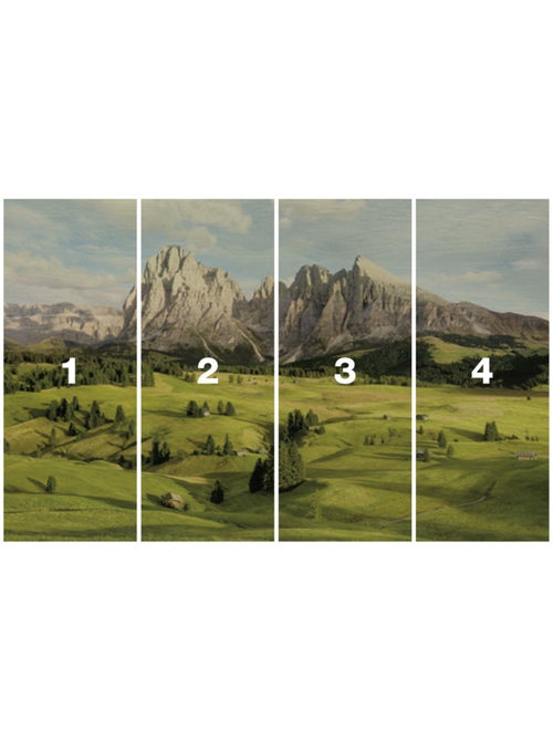 Papier peint panoramique - alpen - taille: 400 x 250 cm - Kiabi