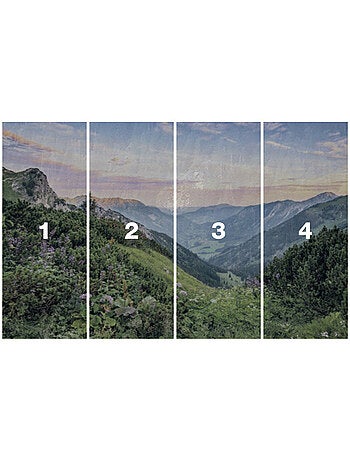 Papier peint panoramique - alps - taille: 400 x 250 cm
