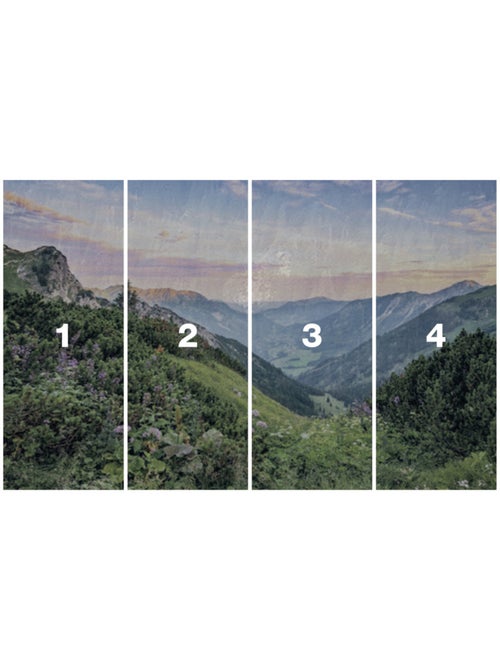 Papier peint panoramique - alps - taille: 400 x 250 cm - Kiabi