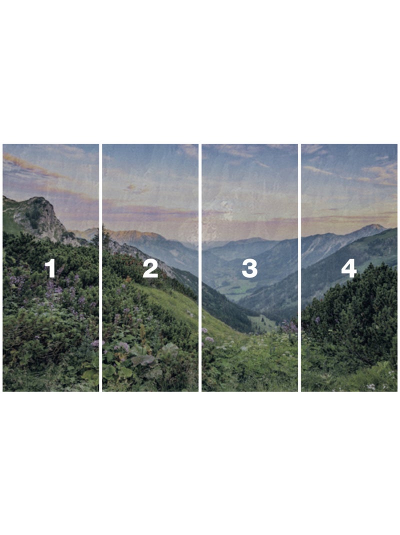 Papier peint panoramique - alps - taille: 400 x 250 cm Multicolore - Kiabi