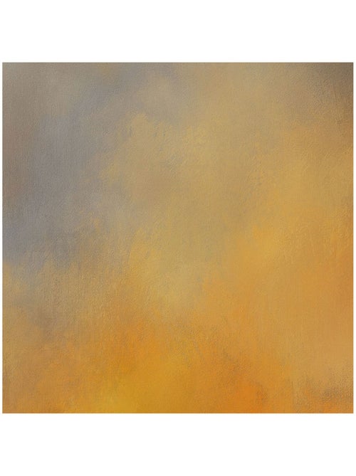 Papier peint panoramique - amber - taille: 200 x 280 cm - Kiabi