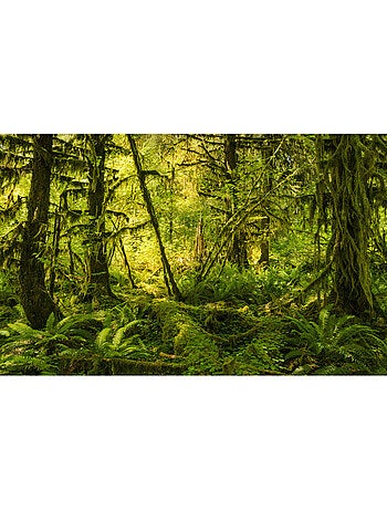 Papier peint panoramique - ancient world - taille: 400 x 250 cm