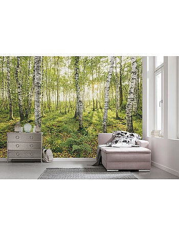 Papier peint panoramique - birch trees - taille: 400 x 250 cm