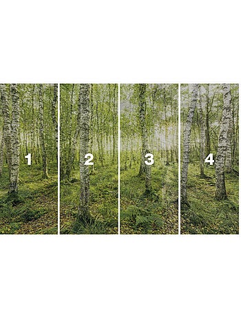 Papier peint panoramique - birch trees - taille: 400 x 250 cm