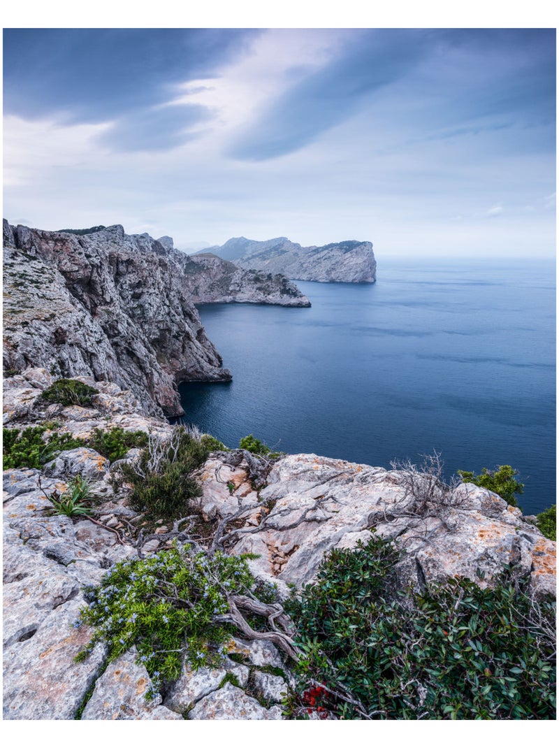 Papier peint panoramique - bizarre coast - taille: 200 x 250 cm Multicolore - Kiabi