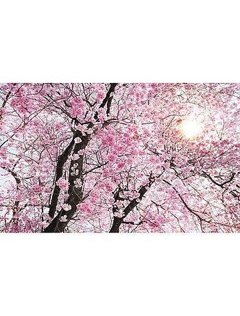 Papier peint panoramique - bloom - taille: 400 x 250 cm
