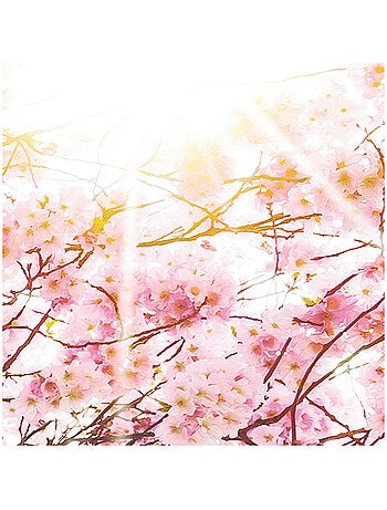 Papier peint panoramique - bloom - taille: 400 x 250 cm