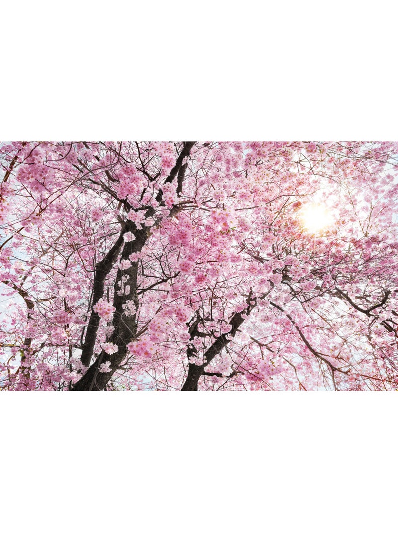 Papier peint panoramique - bloom - taille: 400 x 250 cm Multicolore - Kiabi