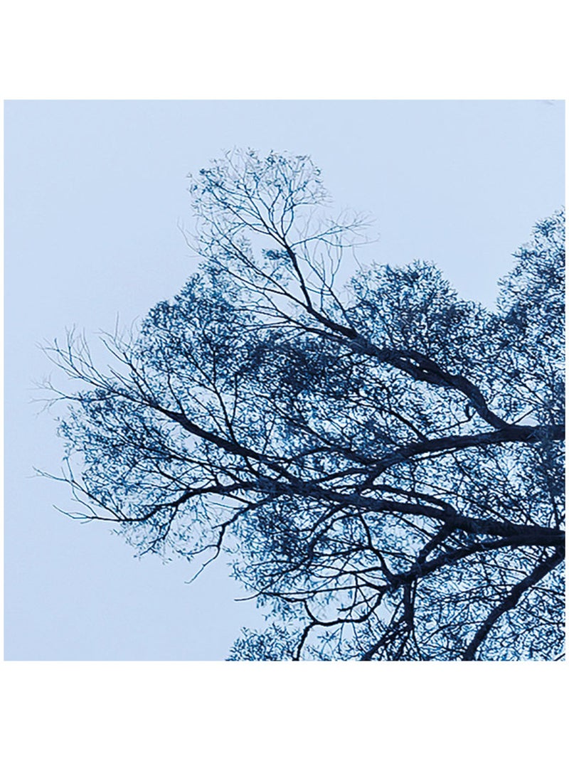 Papier peint panoramique - blue waters - taille: 400 x 250 cm Multicolore - Kiabi