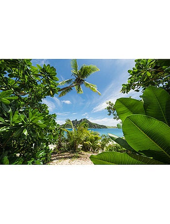 Papier peint panoramique - cast away jungle - taille: 450 x 280 cm