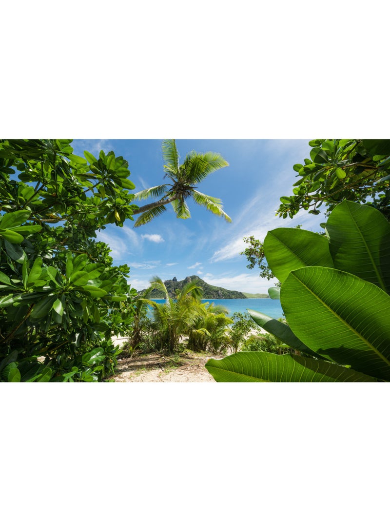 Papier peint panoramique - cast away jungle - taille: 450 x 280 cm Multicolore - Kiabi
