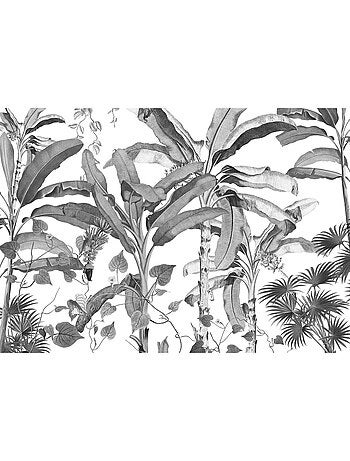 Papier peint panoramique - croissances monochrome - taille: 400 x 280 cm