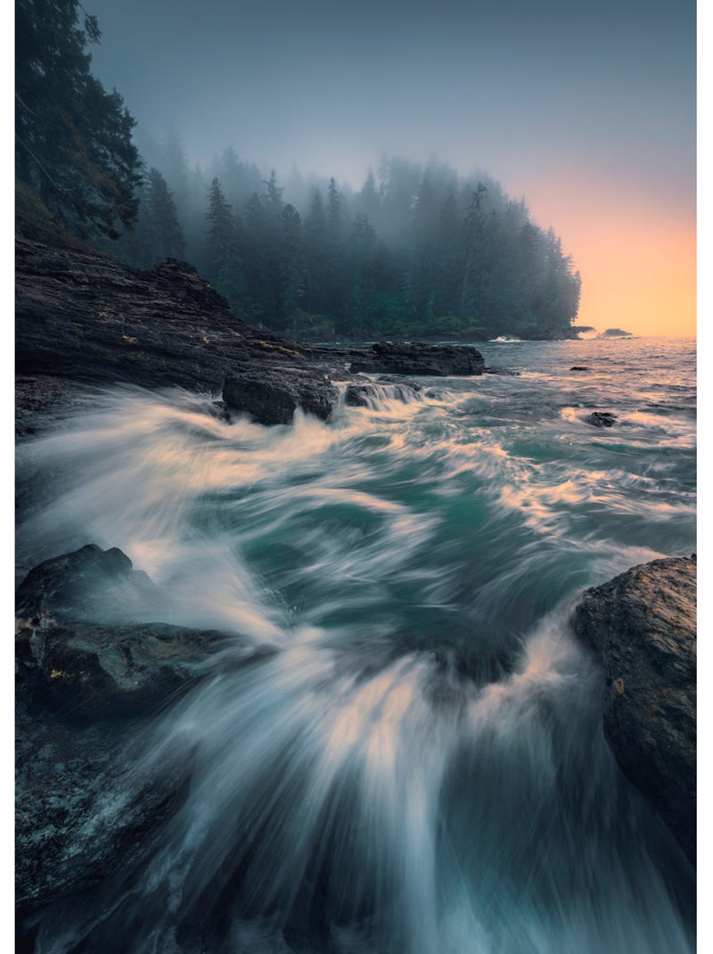 Papier peint panoramique - cry of the sea - taille: 200 x 280 cm ...