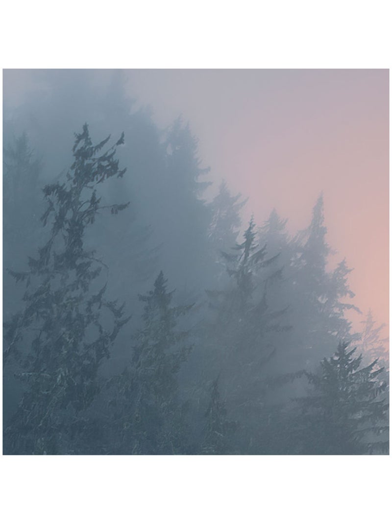 Papier peint panoramique - cry of the sea - taille: 200 x 280 cm ...