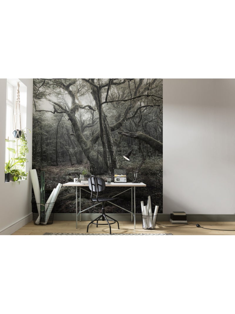 Papier peint panoramique - das model - taille: 250 x 280 cm Multicolore - Kiabi