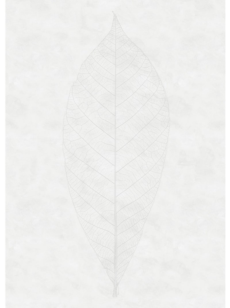 Papier peint panoramique - decent leaf - taille: 200 x 280 cm Multicolore - Kiabi