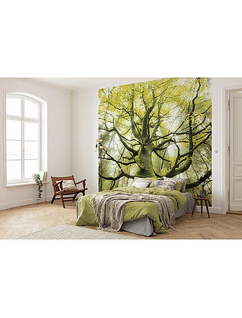Papier peint panoramique - der traumbaum - taille: 300 x 280 cm