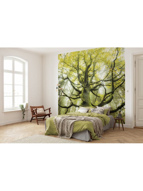 Papier peint panoramique - der traumbaum - taille: 300 x 280 cm - Kiabi Papier peint panoramique - der traumbaum - taille: 300 x 280 cm - Kiabi