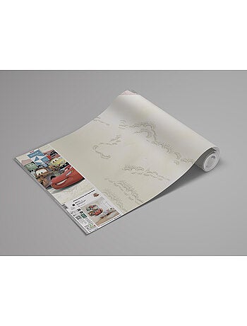 Papier peint panoramique - disney and pixar cars open road - taille: 250 x 250 cm