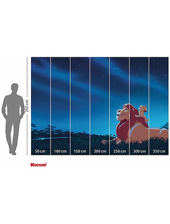 Papier peint panoramique - Disney Le Roi Lion Stargazing - Taille: 350 x 250 cm