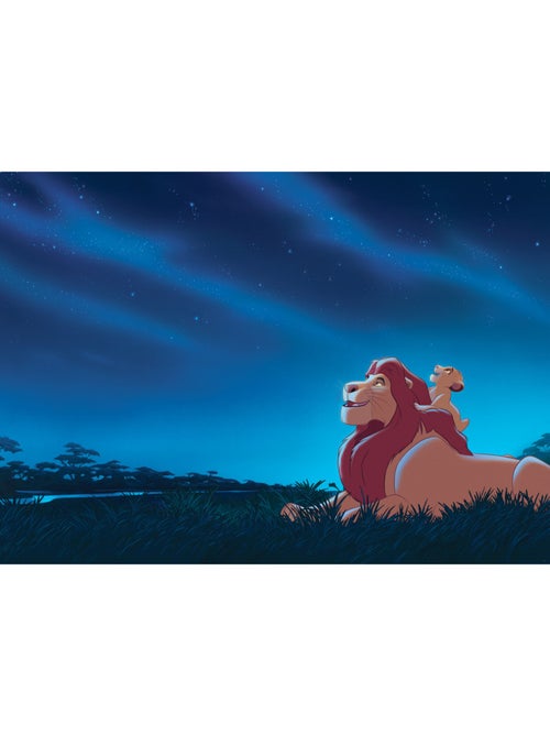 Papier peint panoramique - Disney Le Roi Lion Stargazing - Taille: 350 x 250 cm - Kiabi