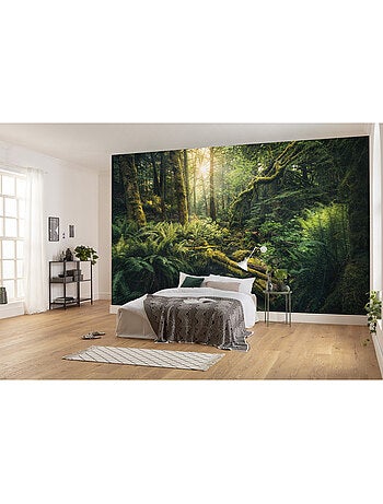 Papier peint panoramique - elves cathedral - taille: 450 x 280 cm