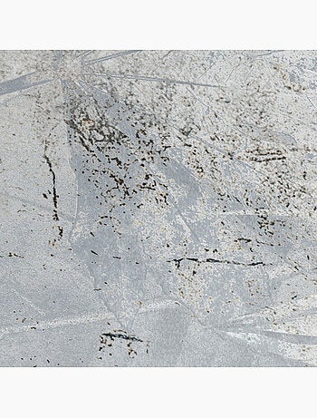 Papier peint panoramique - flower fossil - taille: 200 x 280 cm