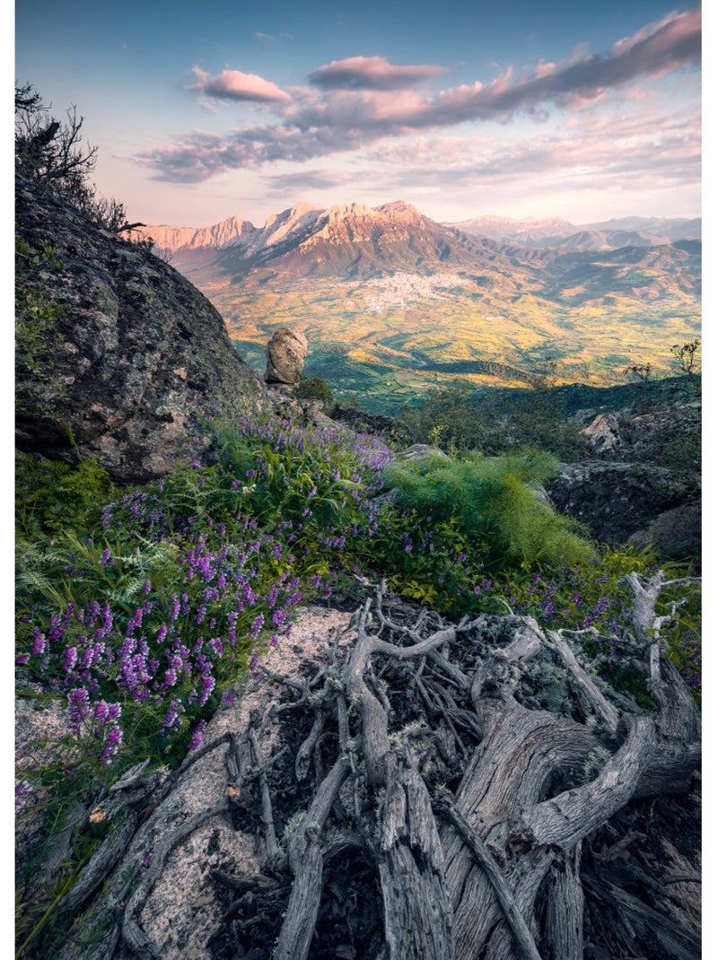 Papier peint panoramique - flowering tales - taille: 200 x 280 cm Multicolore - Kiabi