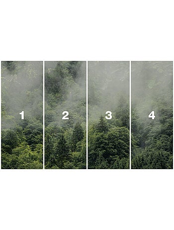 Papier peint panoramique - forest land - taille: 400 x 250 cm